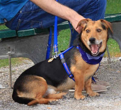 Joerg_Jogi_17_07_2010 - 18.jpg