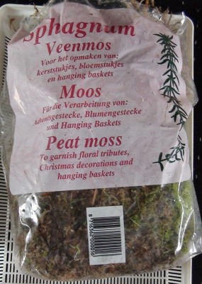 Sphagnum.jpg