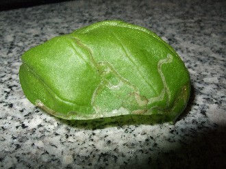 Blatt.jpg