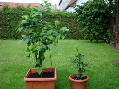 Bild023.jpg