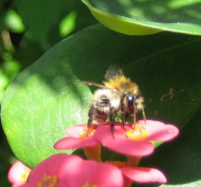 20100718_0001.JPG