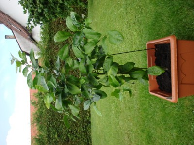 Bild022.jpg