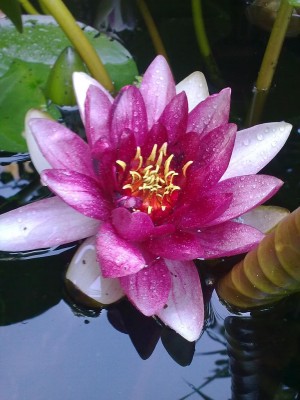 Bild0240.jpg