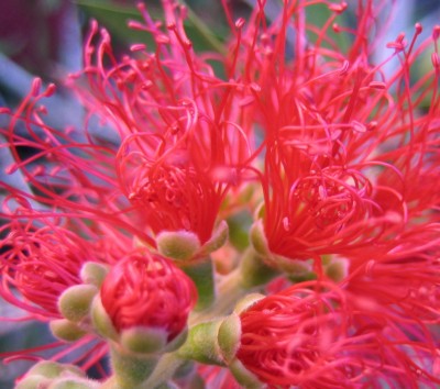 20100719_0001.JPG