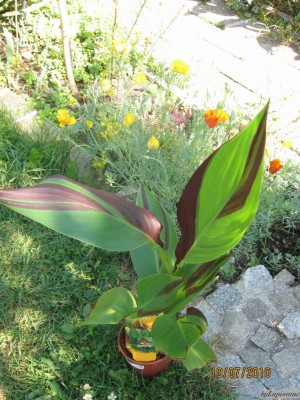 IMG_3878.JPG