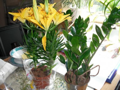 DSCF0078.JPG