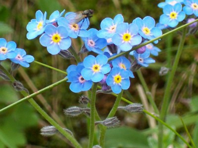 100_0544.jpg