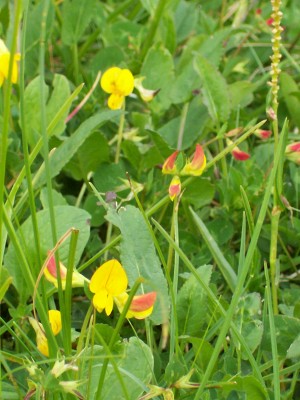 100_0537.jpg