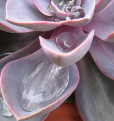 20100722_0001.JPG