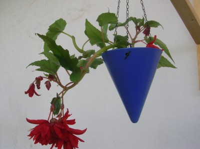 DSCN1350.JPG