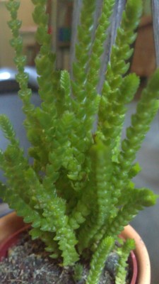 19072010013.jpg