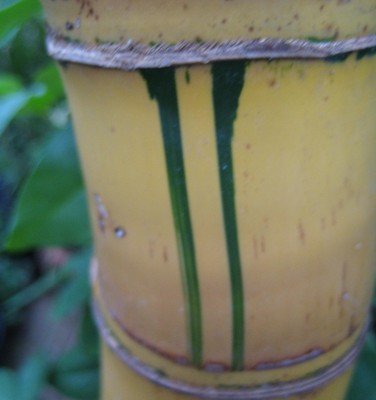 20100723_0001.JPG