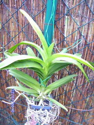 BILD2132.JPG