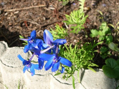 K1024_IMGP0887.JPG