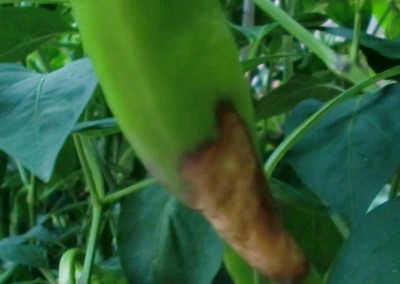 CIMG0948.JPG