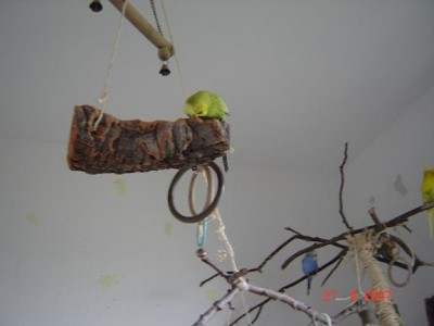 holz3.JPG