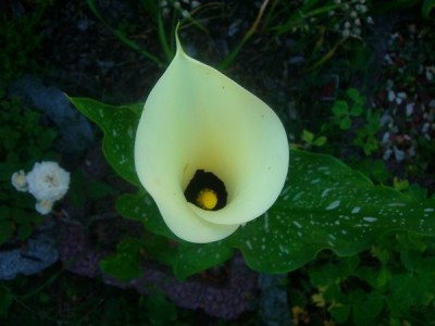 100D9926.JPG