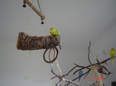holz.JPG