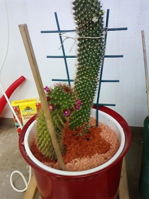 P1307_24-07-10.JPG