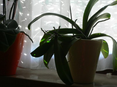 P1050355.JPG
