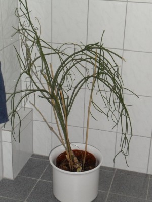 2.Süd-Ost.JPG