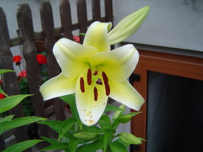 DSC07563.jpg