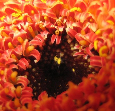 20100728_0001_10.JPG