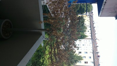 28072010052_2000_1125.jpg