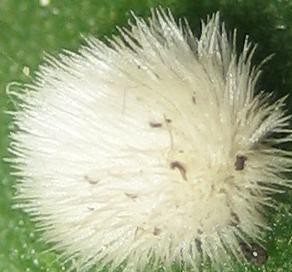20100725_0001_2.JPG
