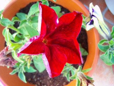 100D8921.JPG