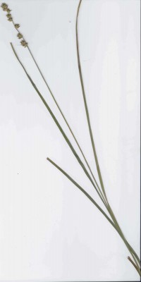 Bild3.jpg