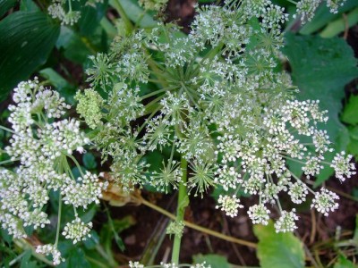 k-DSCF0058.JPG