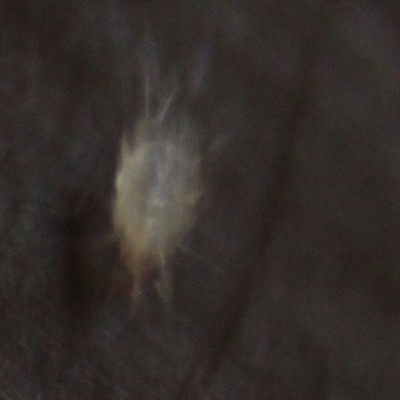 zoom3.jpg