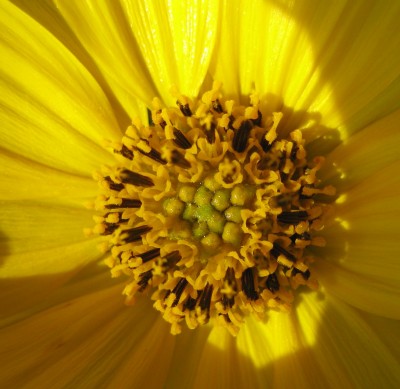 20100729_0001_6.JPG