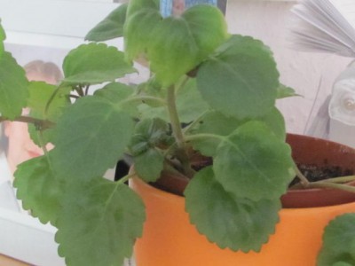 Bild 001.jpg