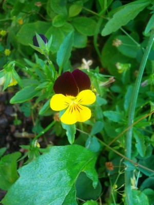 100D9922.JPG