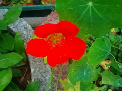 101D0193.JPG