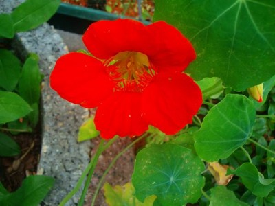 101D0194.JPG