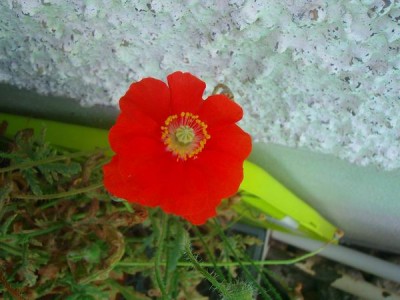 101D0207.JPG