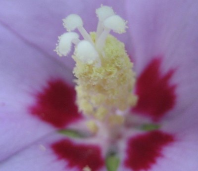 20100801_0001_4.JPG