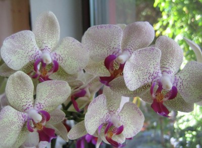 20100801_0001_3.JPG