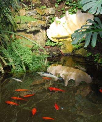 Goldfischteich.jpg