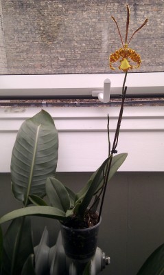 IMAG0619.jpg