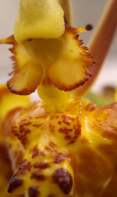 IMAG0618.jpg