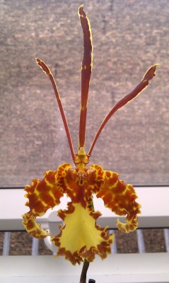 IMAG0608.jpg