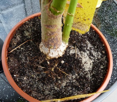 P1030775_neu.jpg