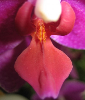 20100801_0001_11.JPG