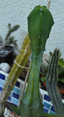 DSC_0072.JPG