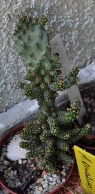 DSC_0078.JPG