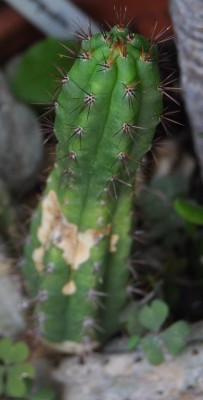 DSC_0076.JPG